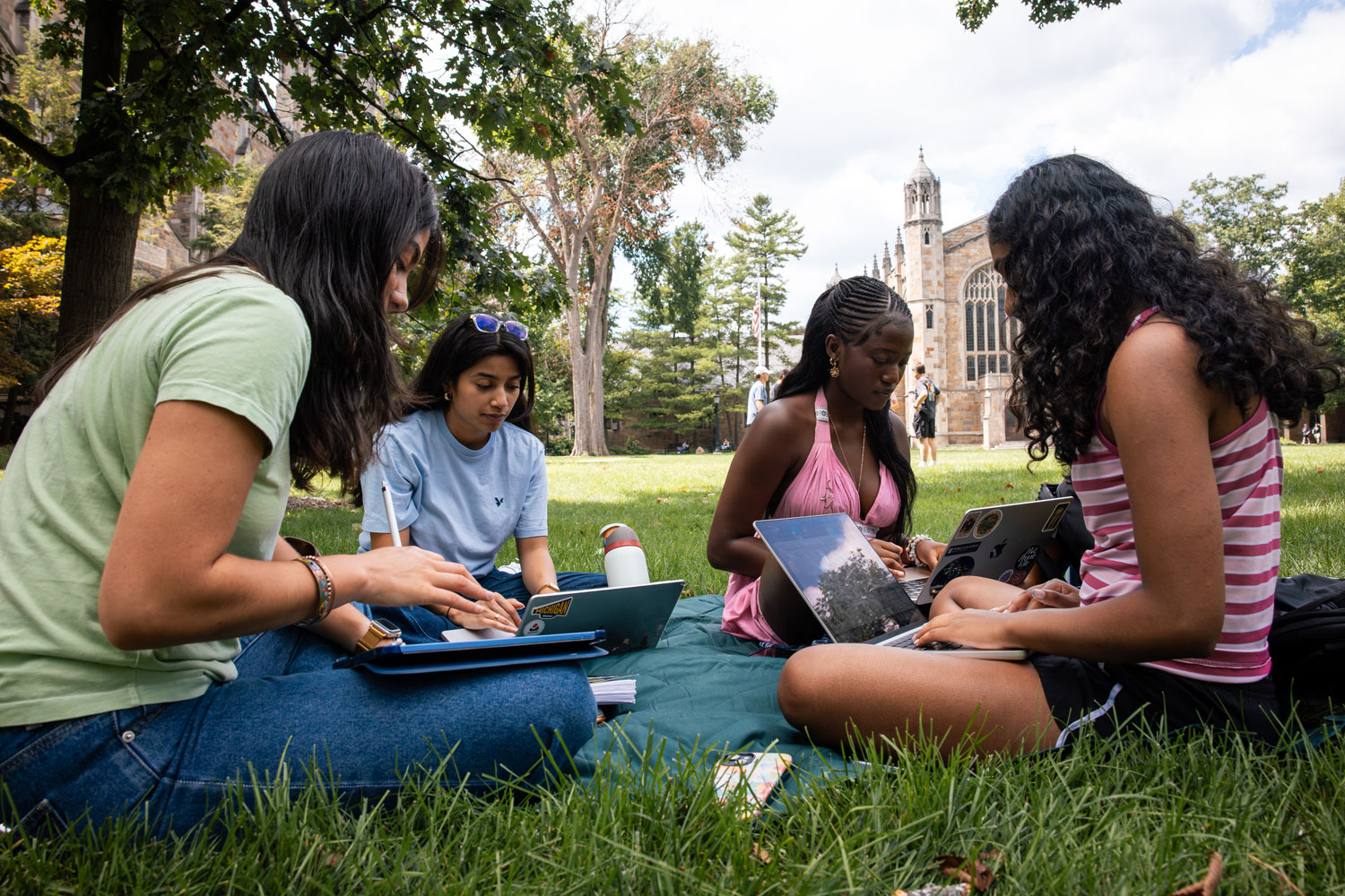 A small group of students study on the grass in the Law Quad on a bright and sunny summer afternoon.