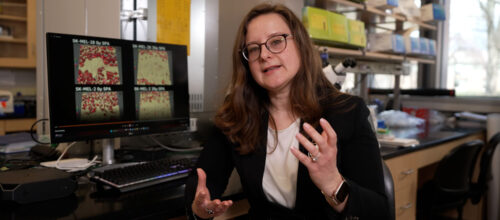 A woman with long brown hair and glasses sits at a laboratory workstation, gesturing with both hands as she speaks. She wears a black blazer over a white blouse, and a computer monitor beside her displays four microscopy images with red and pale green patterns.