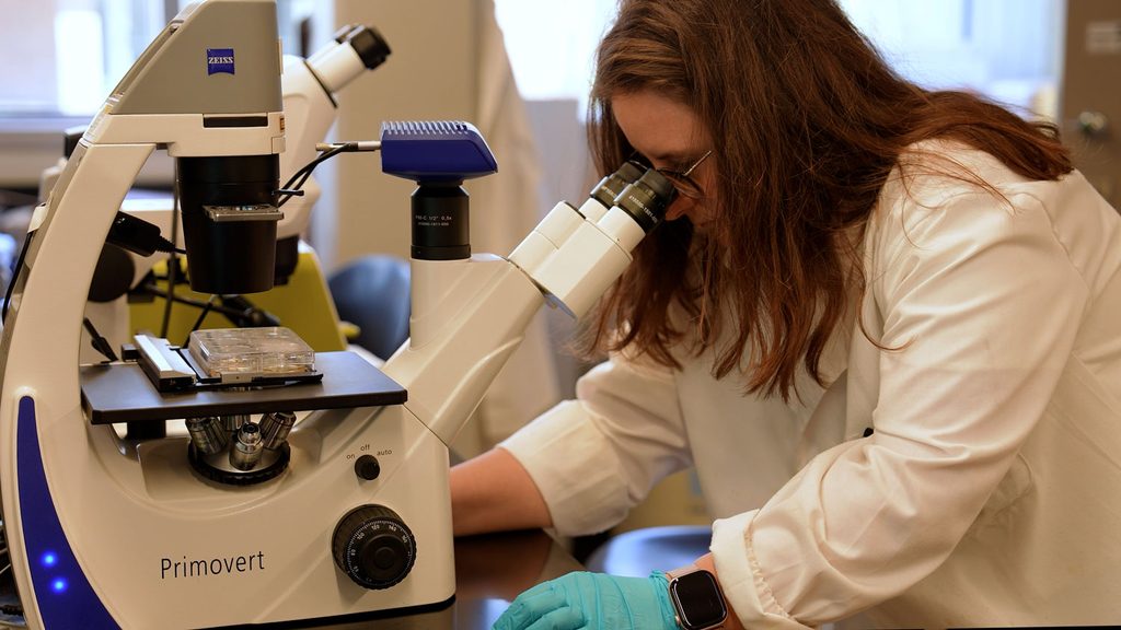 A woman scientist with long brown hair, glasses, and a white lab coat leans forward to look through the eyepieces of a Zeiss Primover microscope. She wears blue protective gloves, and a clear, multiwell laboratory plate rests on the microscope stage.